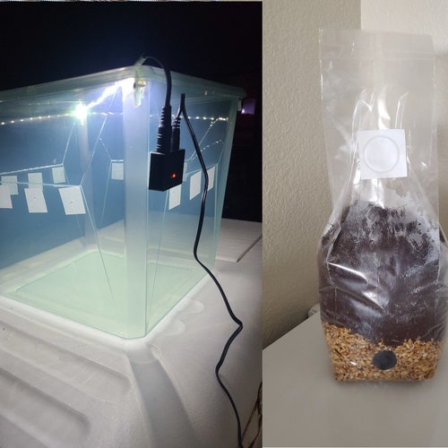 All in One Grow Bag CVG Etsy