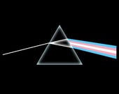 Trans Side of the Moon