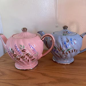 May include: Two ceramic teapots with a spiral ribbed design and silver-toned trim. One teapot is pastel pink with painted purple and brown floral sprigs, while the other is light blue with painted blue and brown floral sprigs and matching lids.