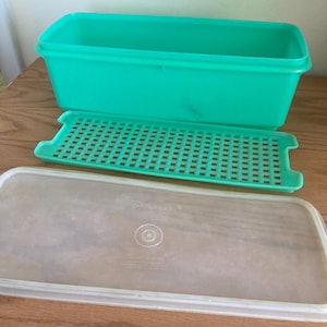 May include: A vintage teal Tupperware container set, featuring a rectangular box, a slotted tray, and a clear lid. The set is designed for food storage and organization. The lid has the Tupperware logo.