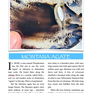 K&ouml;nnte beinhalten: Nahaufnahme eines Montana-Agats, einer Art Chalcedon mit einem geb&auml;nderten Muster in Braun, Wei&szlig; und Schwarz. Der Achat hat ein Loch in der Mitte. Der Text "MONTANA AGATE" ist in blauen Buchstaben auf hellblauem Hintergrund geschrieben.
