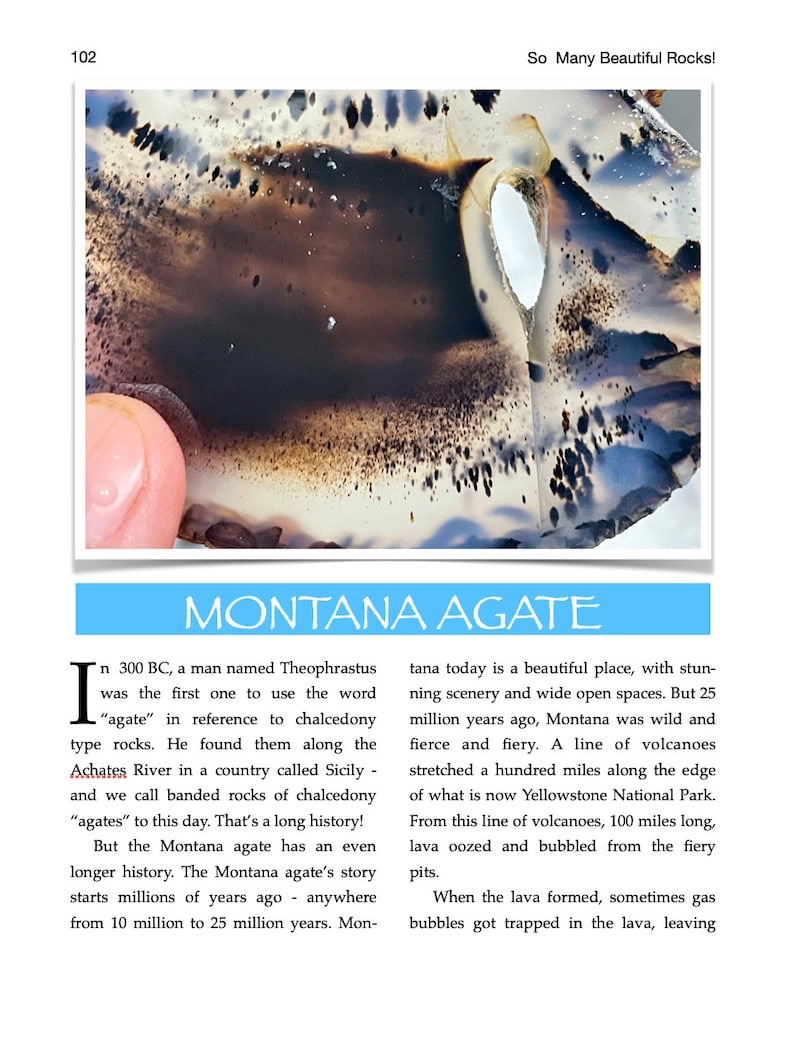 K&ouml;nnte beinhalten: Nahaufnahme eines Montana-Agats, einer Art Chalcedon mit einem geb&auml;nderten Muster in Braun, Wei&szlig; und Schwarz. Der Achat hat ein Loch in der Mitte. Der Text "MONTANA AGATE" ist in blauen Buchstaben auf hellblauem Hintergrund geschrieben.