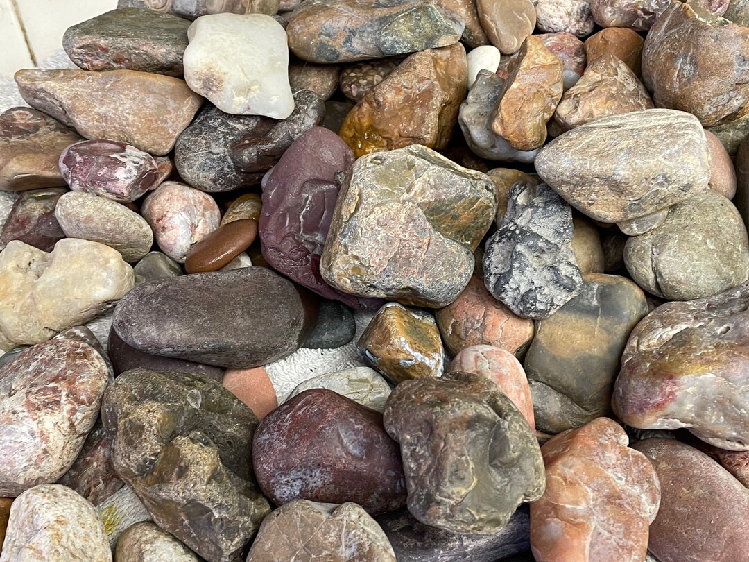 MEDIUM Rocks for TUMBLING From Montana's Yellowstone River by the Pound ...