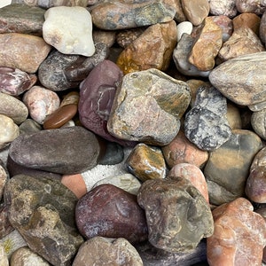¡Piedras MEDIANAS para ROBAR procedentes del río Yellowstone de Montana, por libra!