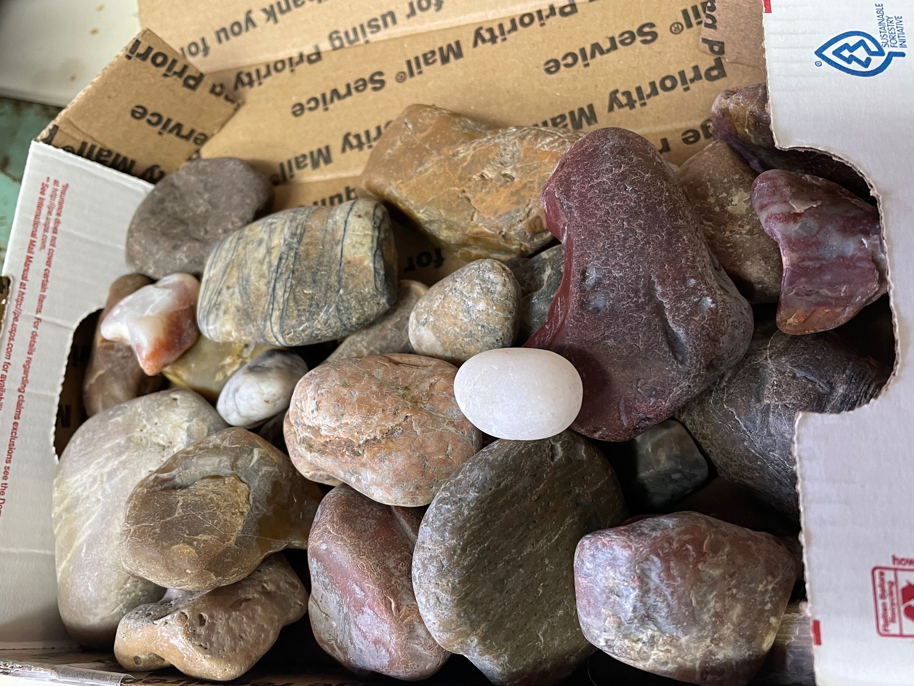 1 lb. MEDIUM rocks for TUMBLING from Montana's Yellowstone Etsy