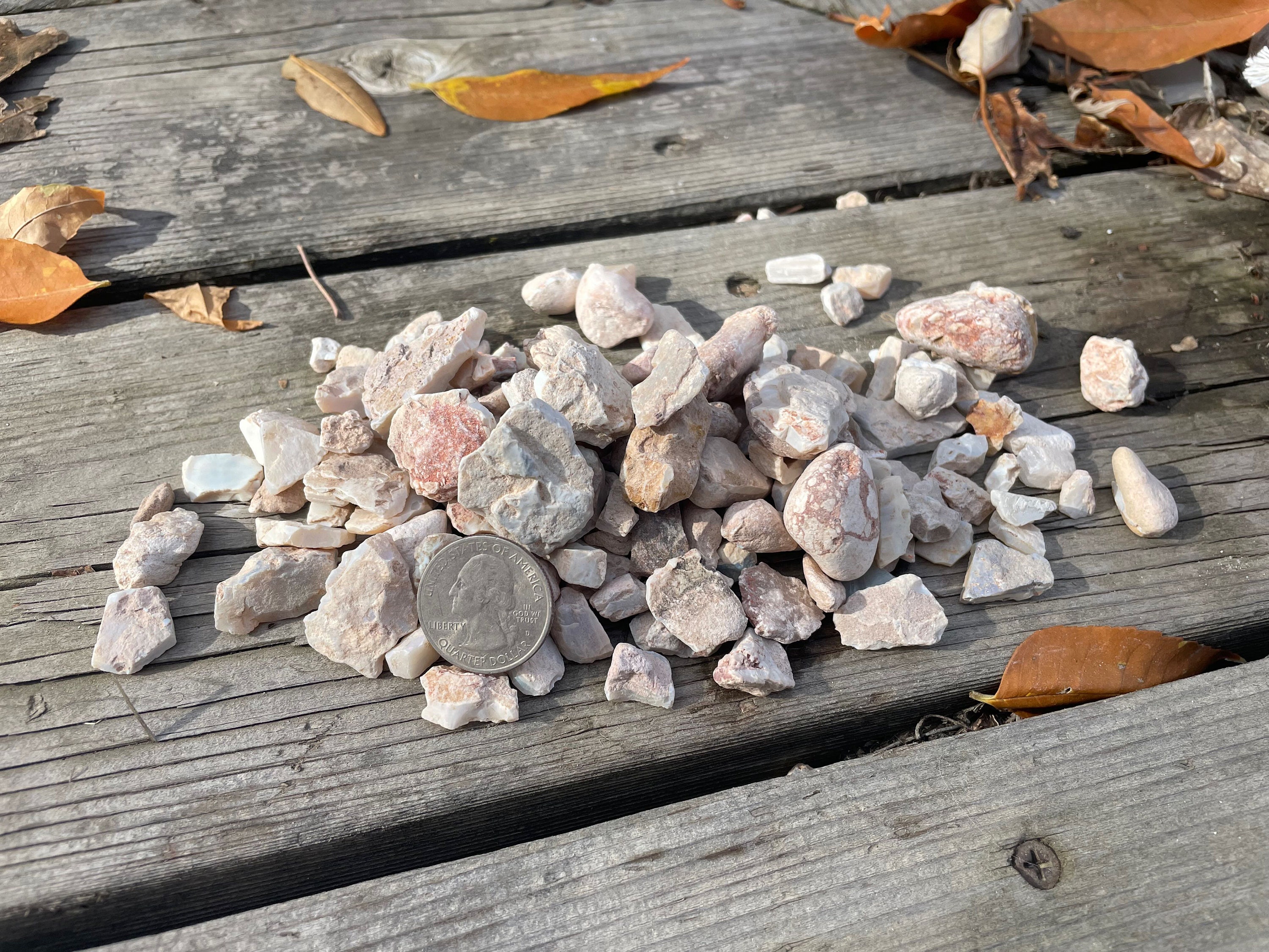 1 Lb. MEDIUM Rocks for TUMBLING From Montana's Yellowstone River 