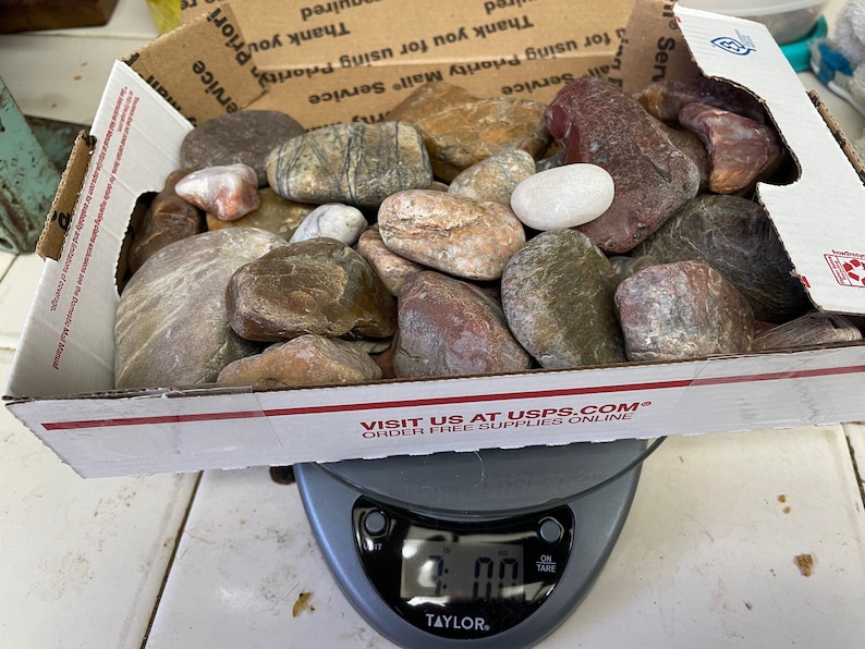 1 lb. MEDIUM rocks for TUMBLING from Montana's Yellowstone Etsy