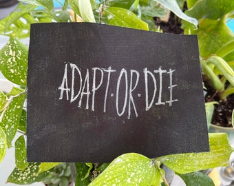 Pode incluir: Remendo de tecido preto com texto branco que diz "Adapt or Die".