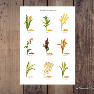 Poster a grana tipo in DIN A3 in carta riciclata
