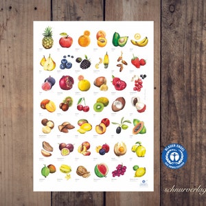 Obst Poster in DIN A2 aus Recyclingapapier mit BLAUER ENGEL Zertifikat