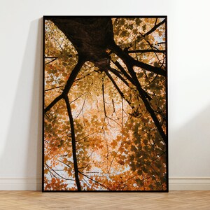 Impresión de hojas de naranja, fotografía de otoño, hojas de árboles otoñales, impresión de arte natural, arte mural otoñal, póster botánico, arte mural para sala de estar