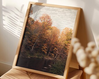 May include: A rectangular framed wall art print featuring a landscape photograph of a forest during autumn. The image displays tall trees with vibrant orange and yellow foliage reflecting in a dark, calm body of water under a cloudy sky.
