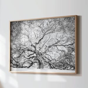 Black and White Angel Oak Charleston Print, Charleston Photography, Live Oak Tree Print, Low Country Decor, Charleston Print, Southern Home