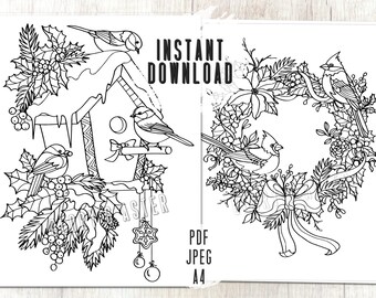 Download Bird Coloring Page Etsy