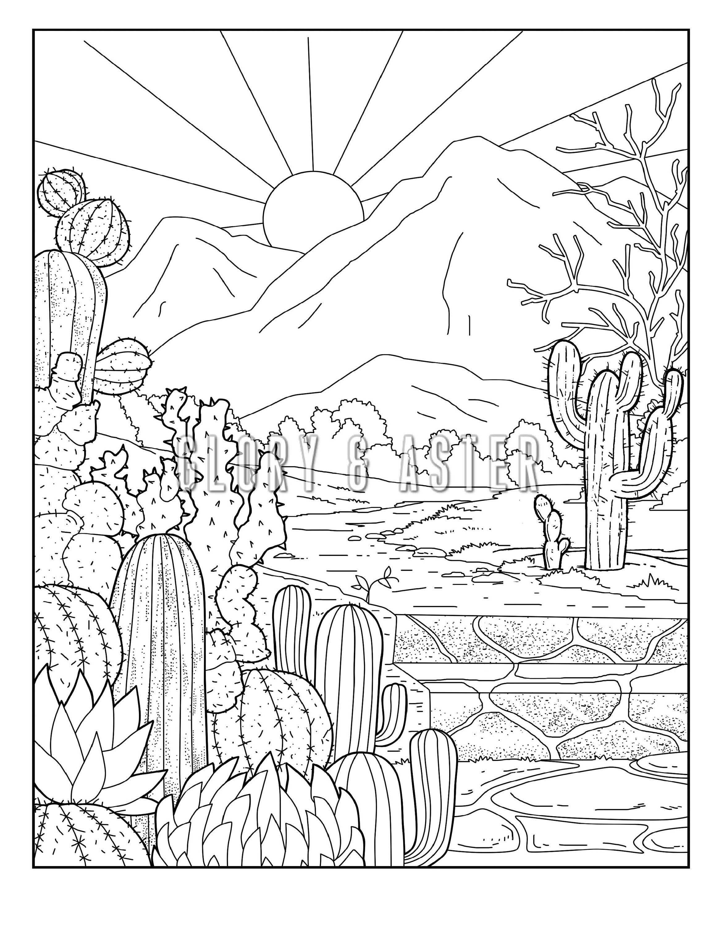 Cactus Coloring Page Printable Adult Coloring Pages | Etsy
