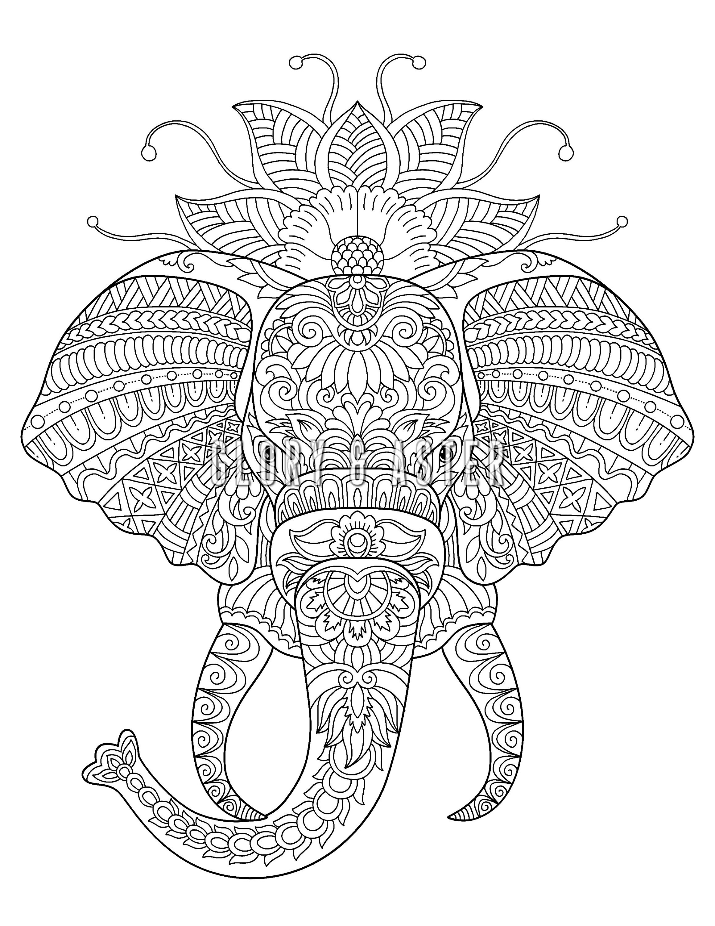 Elephant Zentangle Coloring Page Printable Adult Coloring Pages Instant ...