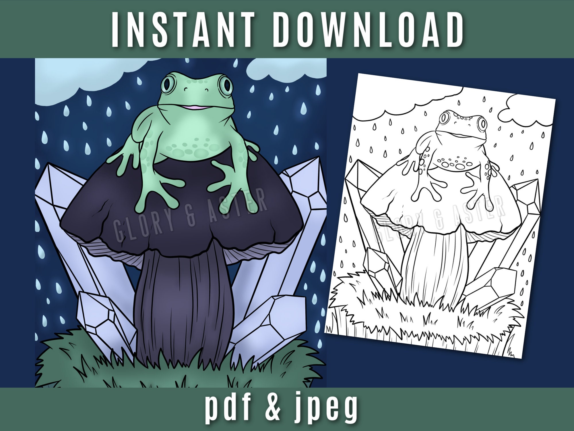 Frog Mushroom Coloring Page   Printable Coloring Page   Instant Download    PDF   Adult   Magical   Cute   Fantasy   Mystical   Toad