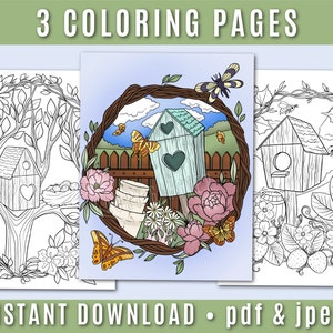 Birdhouse Coloring Pages - Instant Download - Printable Coloring - Coloring Sheet - Adult Coloring Page - Bird Coloring Page - Spring