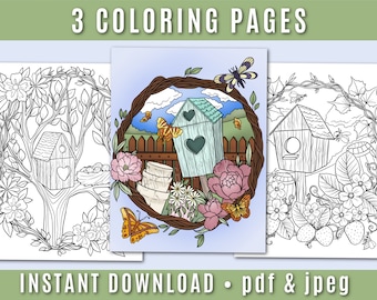 Birdhouse Coloring Pages - Instant Download - Printable Coloring - Coloring Sheet - Adult Coloring Page - Bird Coloring Page - Spring