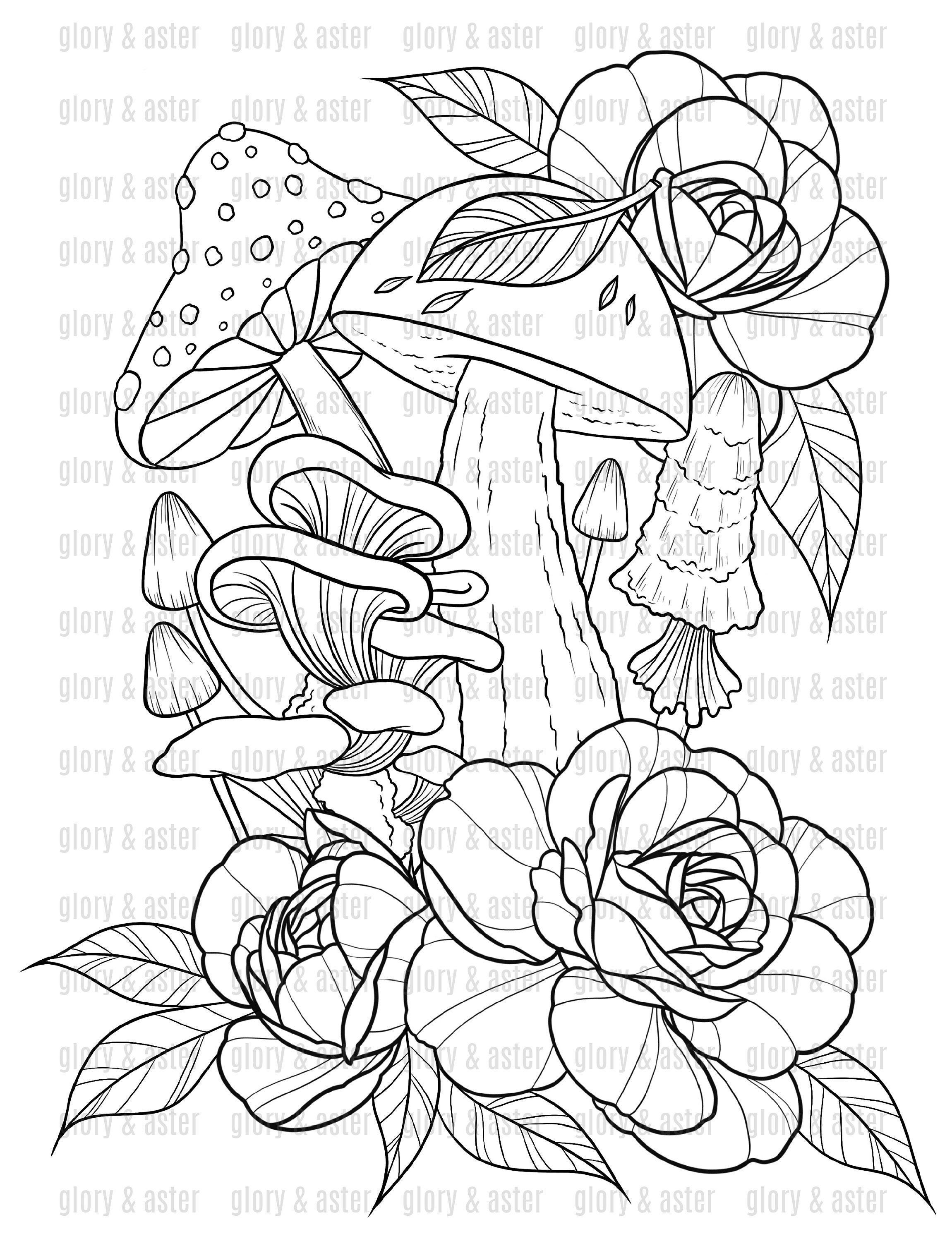 Mushroom Coloring Book Printable Adult Coloring Pages Instant Download ...