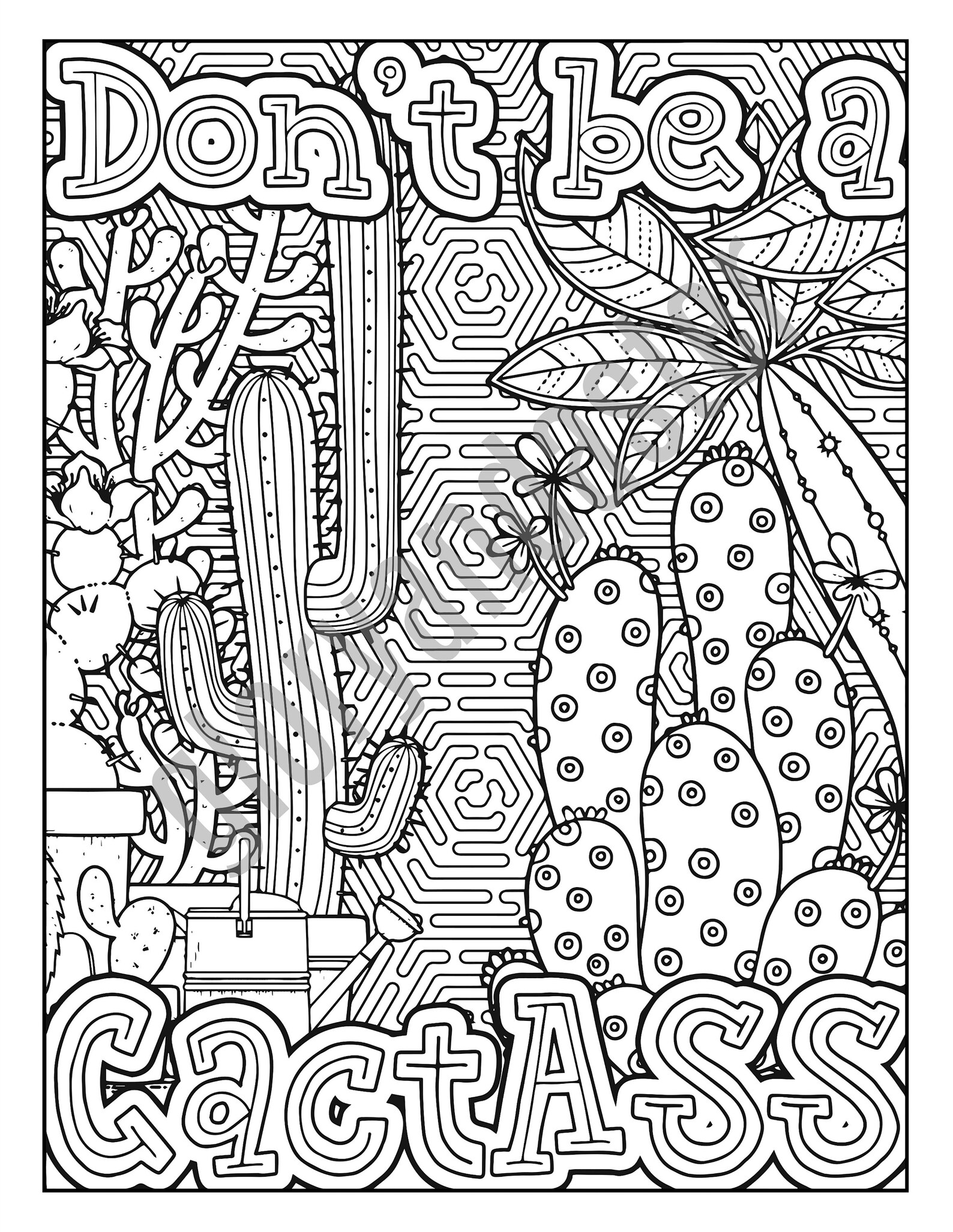 Cactus Coloring Page Adult Coloring Pages Succulent Coloring | Etsy