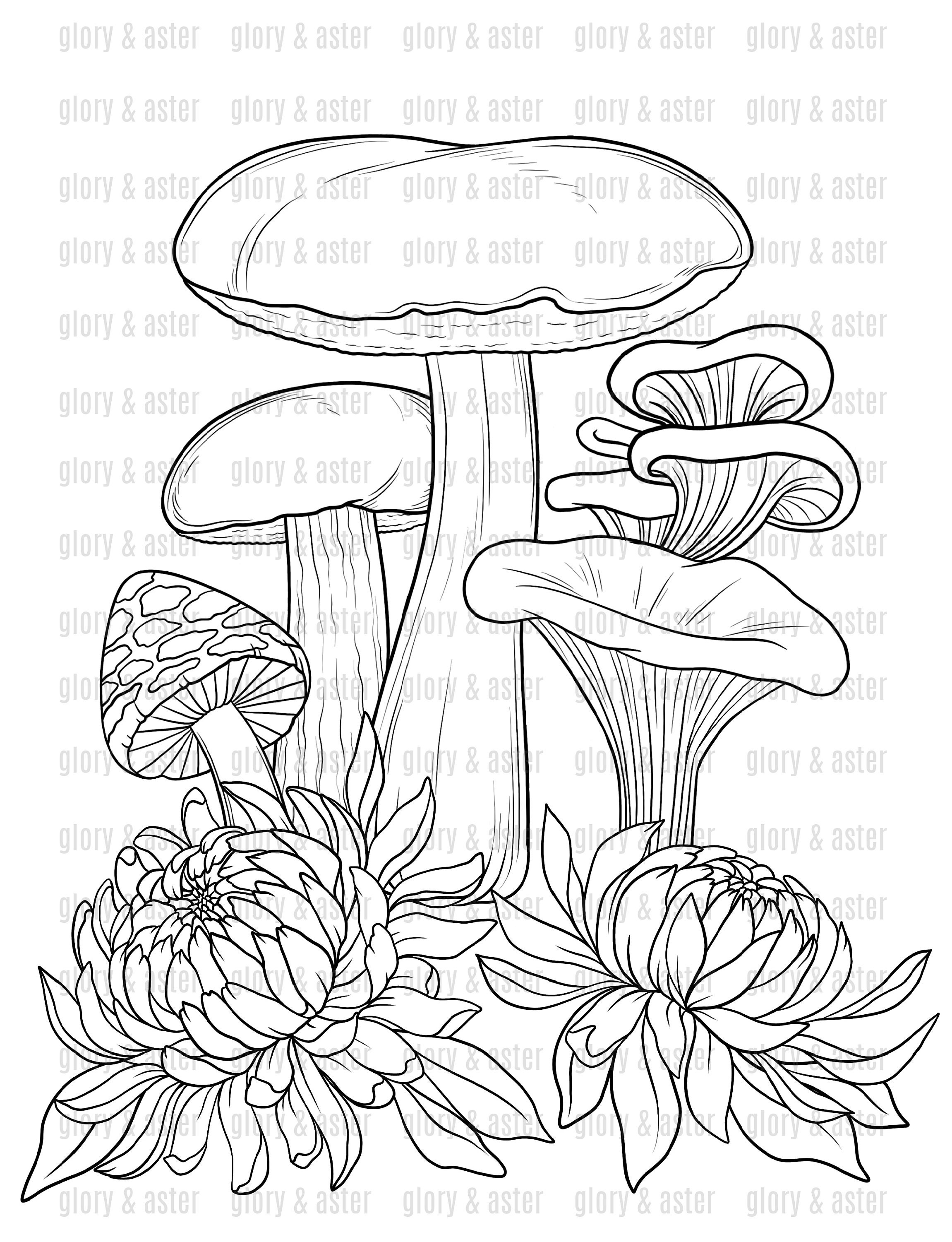 Mushroom Coloring Book Printable Adult Coloring Pages Instant Download ...