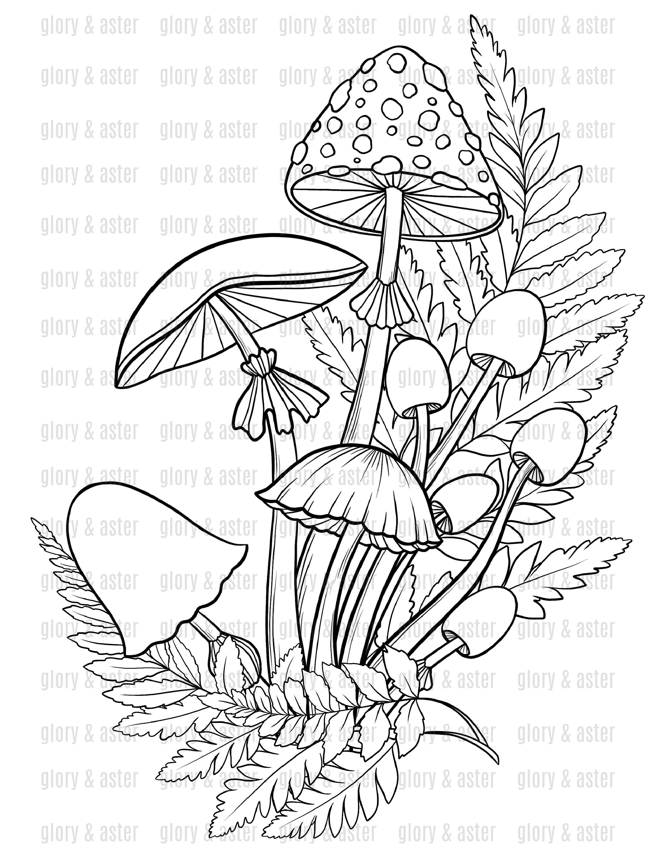 Mushroom Coloring Book Printable Adult Coloring Pages Instant Download ...