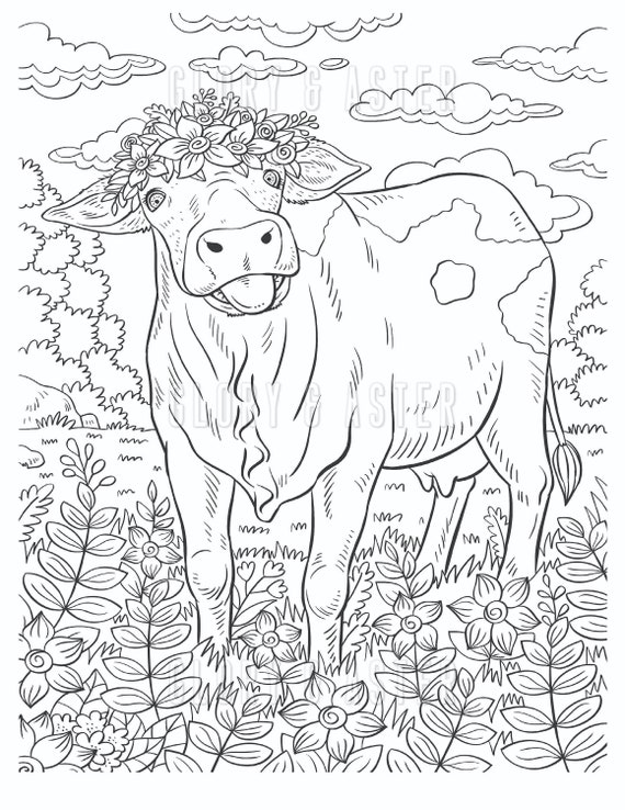 Heifer Coloring Pages