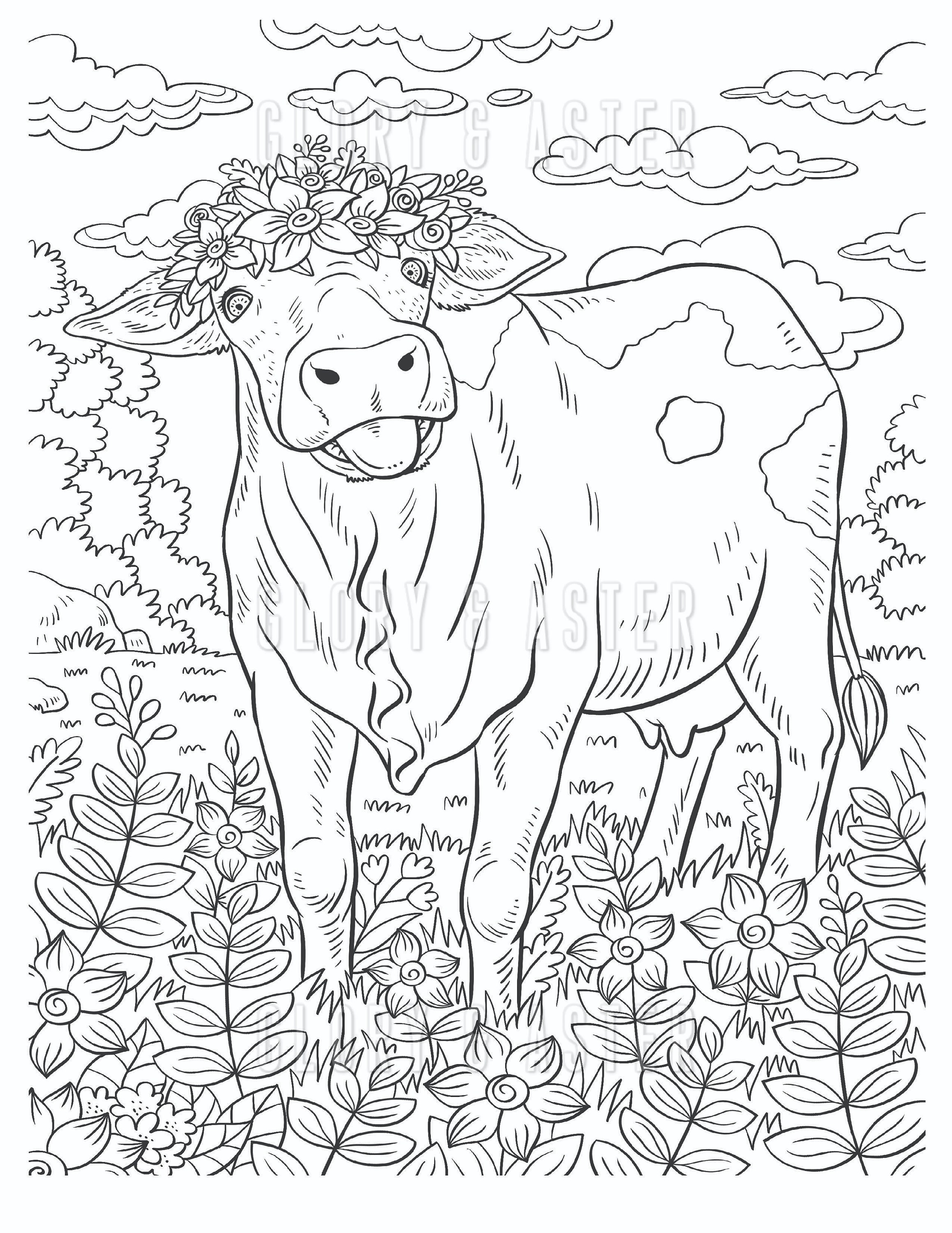 Coloring Pages Of Cows Free Printable