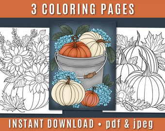 Fall Florals Pumpkin Coloring Page - Coloring Sheets | Autumn Coloring Page | Instant Download | Floral Coloring | Adult Coloring Book