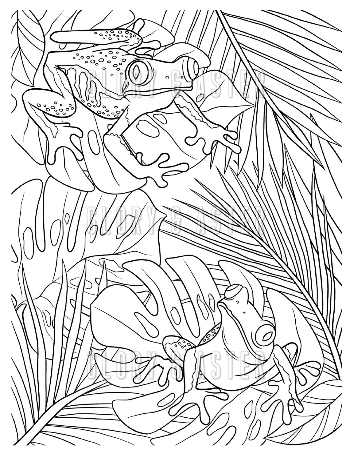 Tropical Frogs Coloring Page Printable Adult Coloring Page | Etsy