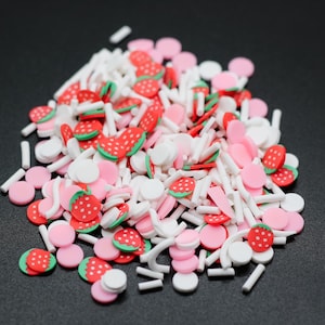 Strawberry Shortcake Polymer Clay Slice Fruit for Snowglobe Tumblers, Slime, Hair Gel, Nail Art, Jewelry Resin DIY Projects Crafting A1-6-4