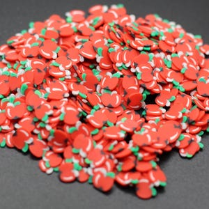 Whole Red Apple Polymer Clay Slice Summer Fruit Snowglobe Tumblers, Slime, Hair Gel, Nail Art, Jewelry, Resin, DIY Projects, Crafting A4-2-2