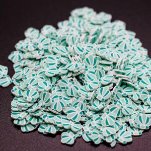 Teal Aqua Sea Shell Polymer Clay Slice for Snowglobe Tumblers, Slime, Hair Gel, Nail Art, Jewelry, Resin, DIY Projects, Crafting USA B4-2-3