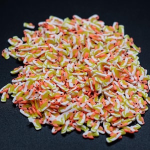Goldfish Fish Polymer Clay Slice Snowglobe Tumblers, Slime, Hair Gel, Nail Art, Jewelry, Resin, DIY Projects Crafting Under the Sea A2-2-2