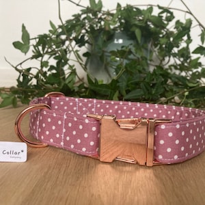 May include: A pink dog collar with white polka dots and a rose gold buckle. The collar is made by The Happy Collar Company.