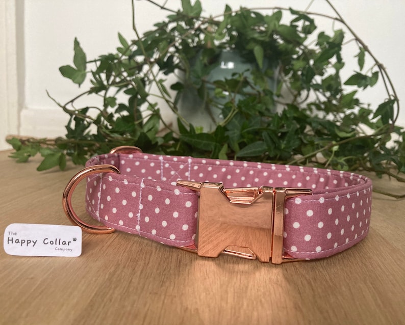 May include: A pink dog collar with white polka dots and a rose gold buckle. The collar is made by The Happy Collar Company.