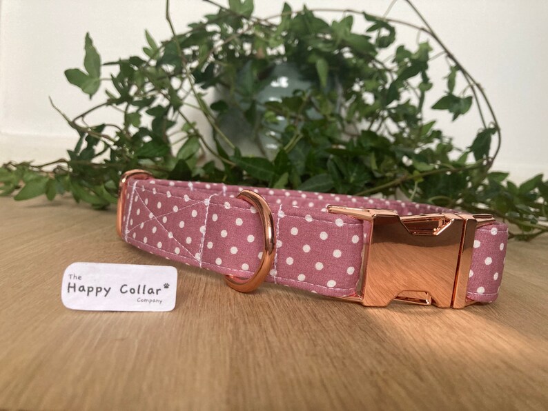 Rose Pink and White Polka Dot Dog Collar Rose Gold Dog Etsy UK