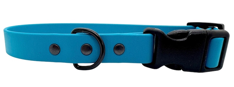 Waterproof Biothane Dog Collar with Quick Release Buckle Lagoon