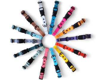 Biothane Dog Collar Large Breed 25mm Wide