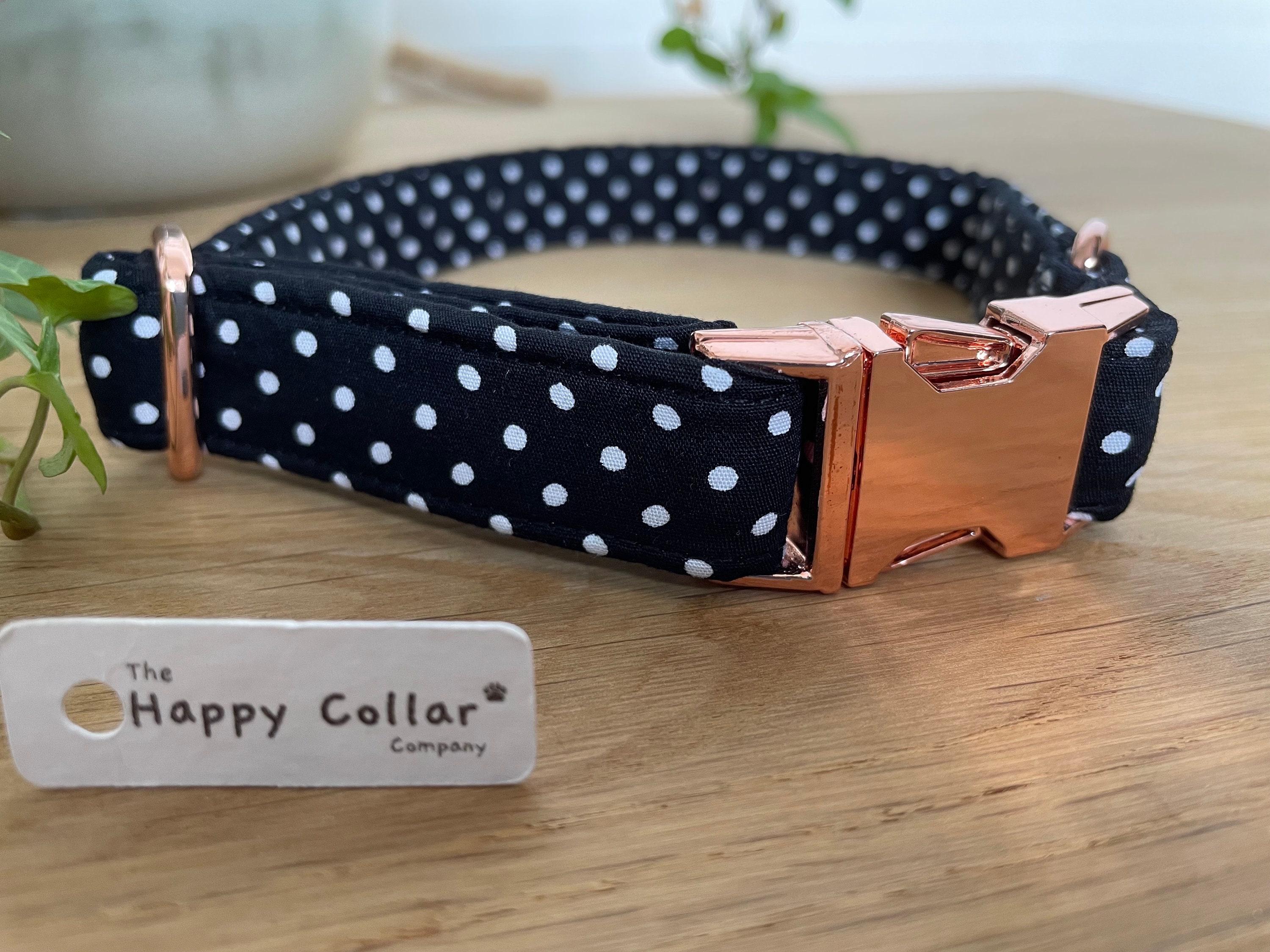 Polka dot dog collar hotsell