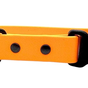 Waterproof Biothane Dog Collar with Quick Release Buckle Pale Orange