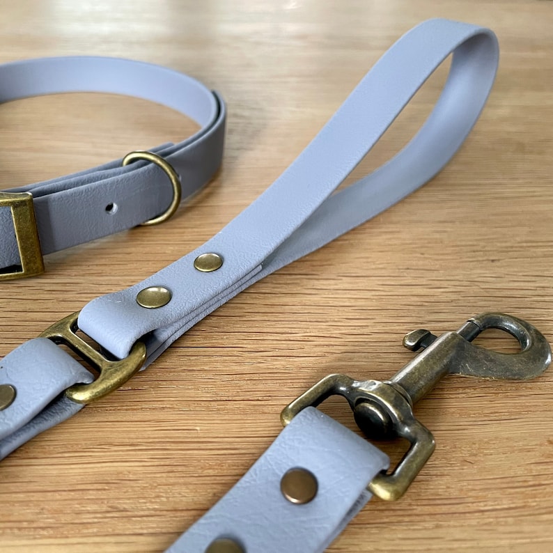 May include: A light gray leather dog collar and leash set with brass hardware. The collar has a buckle closure and the leash has a clip.