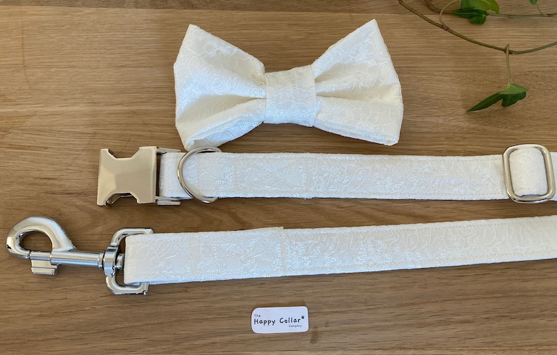 Ivory Lace Dog Collar Wedding Dog Collar Puppy Wedding Etsy UK