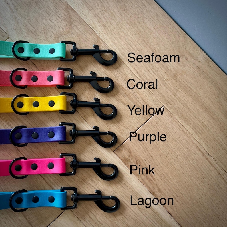 Biothane Dog Lead - Waterproof Dog Leash image 4