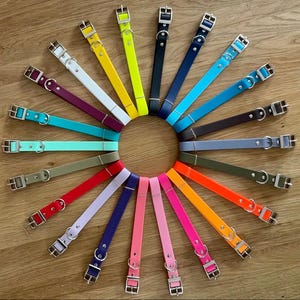 May include: A variety of colorful dog collars with silver buckles. The collars are arranged in a circle on a wooden surface.