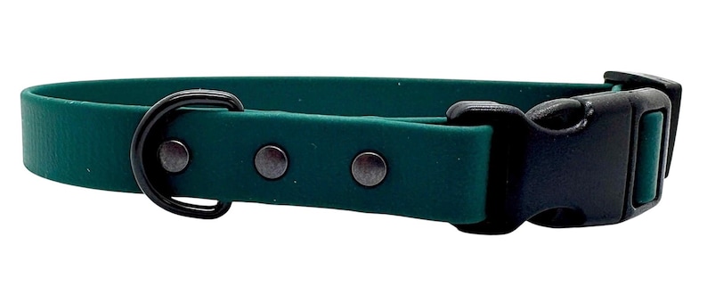 Waterproof Biothane Dog Collar with Quick Release Buckle Forest Green