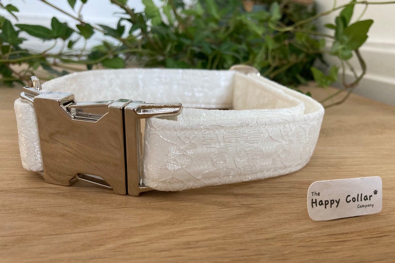 Ivory Lace Dog Collar Wedding Dog Collar Puppy Wedding Etsy UK