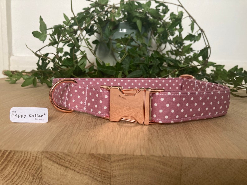 Rose Pink and White Polka Dot Dog Collar Rose Gold Dog Etsy UK