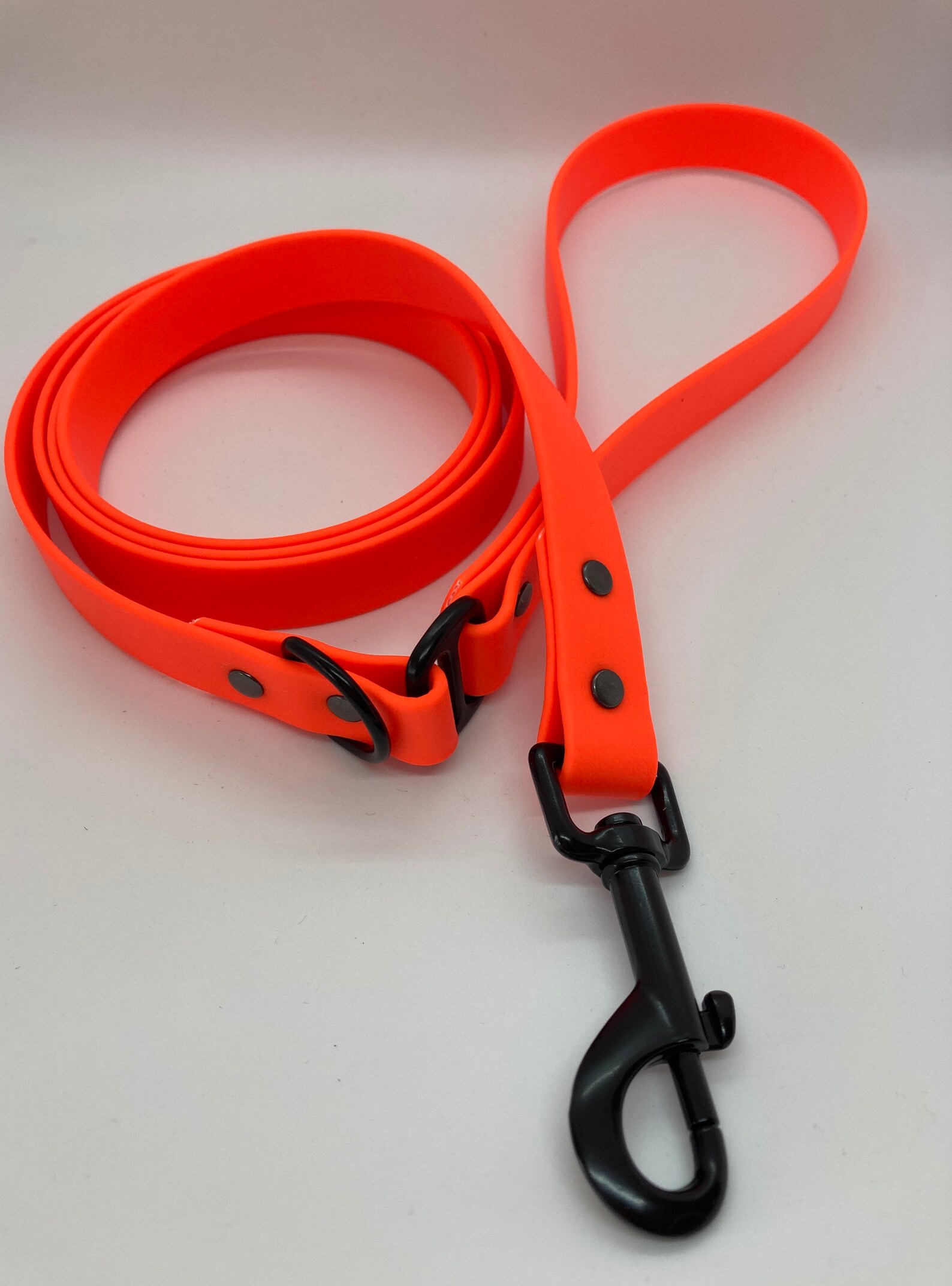 Biothane Dog Lead Waterproof Dog Lead Vegan Dog Lead Etsy